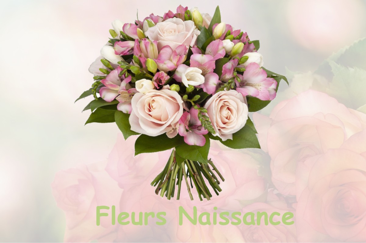 fleurs naissance CABANNES