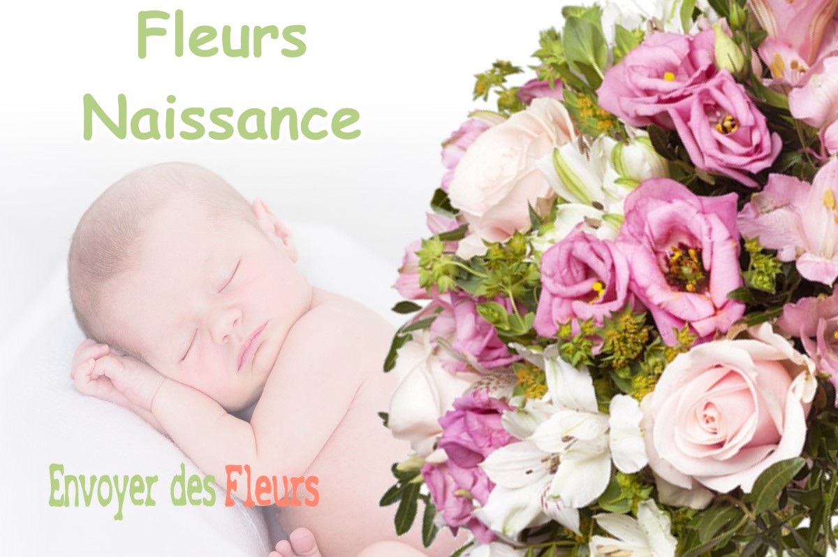 lIVRAISON FLEURS NAISSANCE à CABANNES